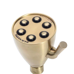 Speakman S-2252-BN Signature Brass Icon Anystream High Pressure Adjustable Shower Head, Brushed Nickel